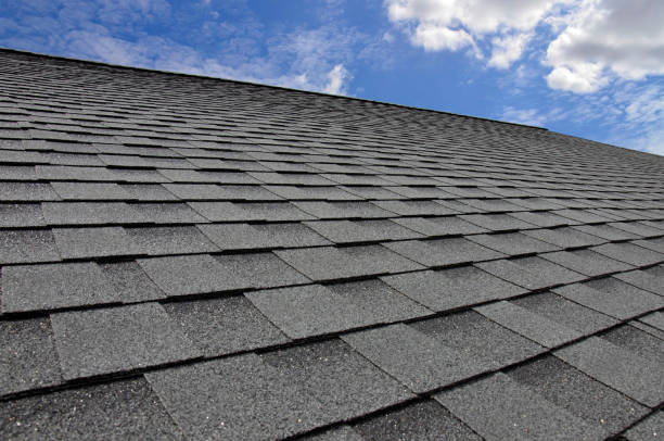 Best Steel Roofing  in Bridgeville, DE